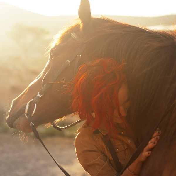 equine-horse-therapy-luxury-inpatient-austin-texas-drug-alcohol-rehabilitation-center