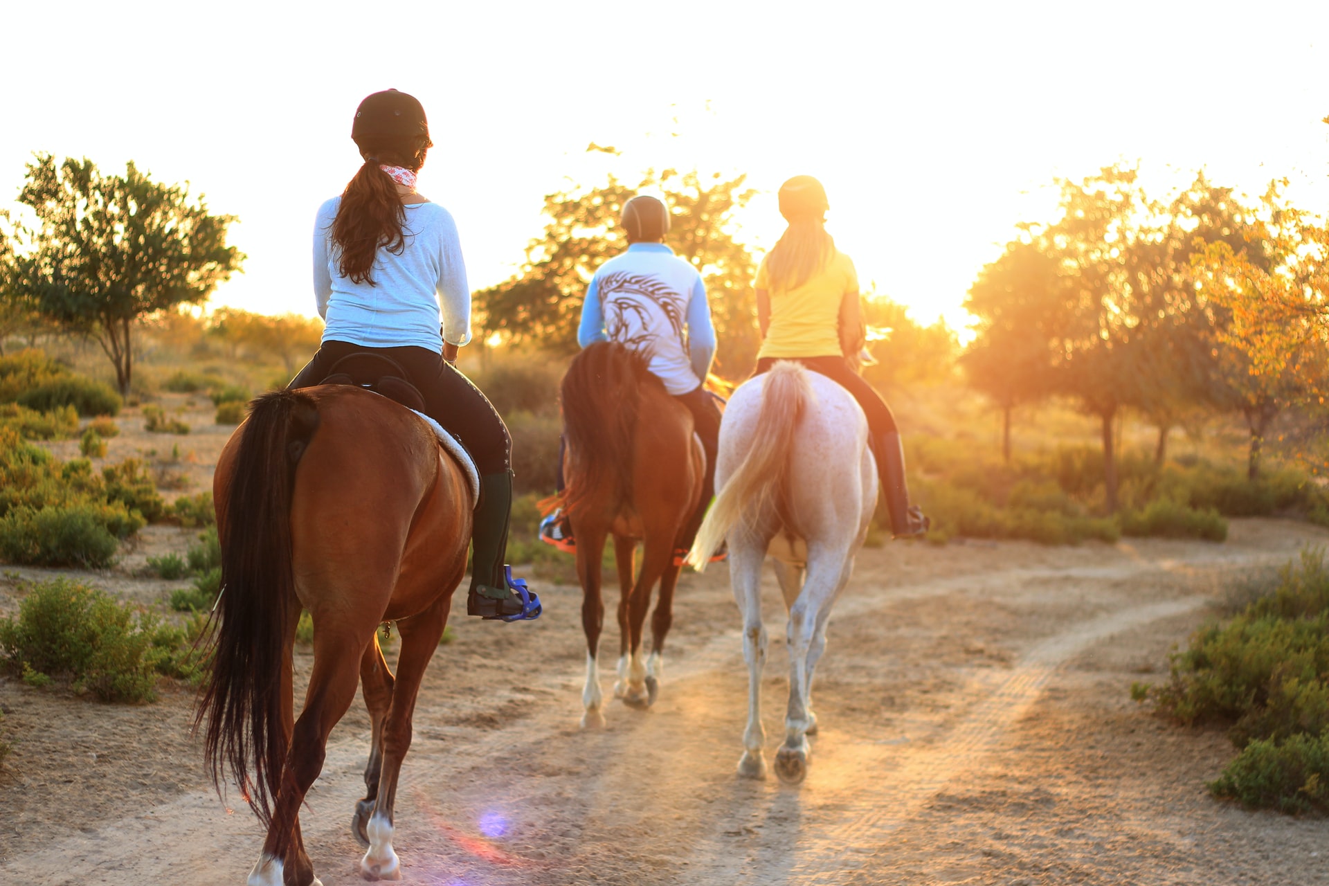 Equine-assisted-therapy-substance-abuse-treatment-plum-creek-recovery-ranch-austin-texas