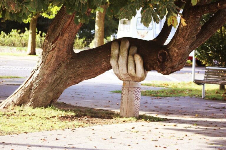 The Complete Guide to Cocaine Addiction Treatment: Options, Effectiveness, and What to Expect