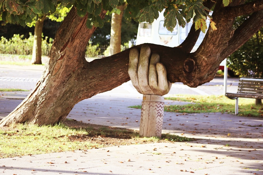 The Complete Guide to Cocaine Addiction Treatment: Options, Effectiveness, and What to Expect